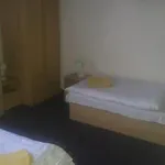 Hotel Rustikal - U Mandlonovych Sadu