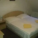 Rustikal - U Mandlonovych Sadu Hotel Hustopeče