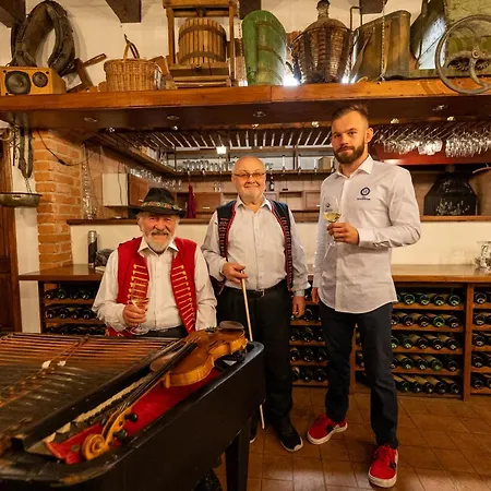 Hotel - Vinarstvi - Pivovar Rustikal Hustopece - U Mandlonovych Sadu