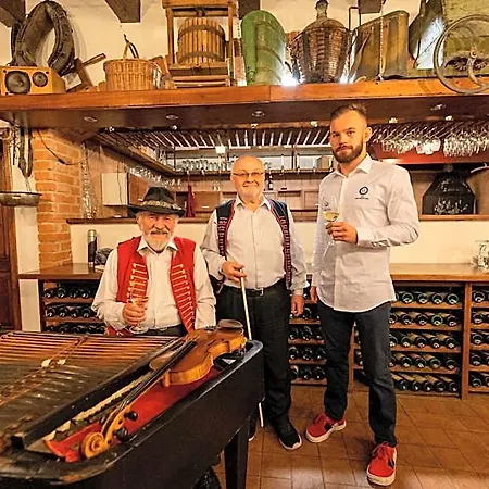 Rustikal - U Mandlonovych Sadu فندق Hustopeče